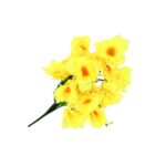 Bukiet żonkili 18 główek 52 cm