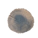 Płyta dekoracyjna Pień Mini 32 cm ciemny brąz