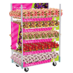 Petunia Fun House Premium doniczka 12 cm mix