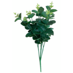 Bukiet liści eukaliptusa 48 cm