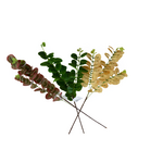 Gałązka liści eukaliptusa 86 cm mix