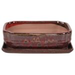 Donica szkliwiona Bonsai z podstawką 21,2 x 17 cm czerwony