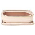 Donica szkliwiona Bonsai z podstawką 21,5 x 17 cm kremowy