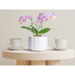 Osłonka Astoria 11 cm biały