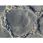 Płyta dekoracyjna Kamień Łupany Ścieżkowiec 30-45 cm