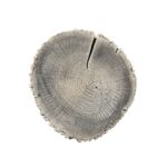 Płyta dekoracyjna Pień 38-45 cm brązowy