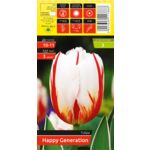 Tulipan Happy Generation rozmiar 10-11 kapers 3 szt