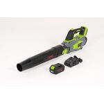 Dmuchawa do liści BB20-B40-S z akumulatorem i ładowarką NAC