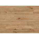 Panel podłogowy AC5 8 mm dąb solar