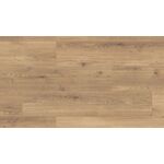 Panel podłogowy wild sargus oak 8 mm