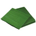 Plandeka PROFI 6 x 10 m