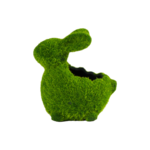 Osłonka ceramiczna na rzeżuchę 13,5 cm zielony