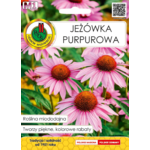 Jeżówka purpurowa 1 g GC M1 PNOS