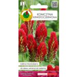 Koniczyna krwistoczerwona 5 g GC 1 PNOS