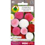 Stokrotka pomponette mieszana 0,1 g GC 2 PNOS