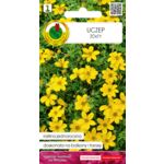 Uczep żółty 0,2 g GC 1 PNOS