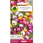 Przypołudnik mieszany 0,3 g GC 1 PNOS