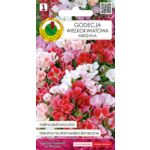 Godecja wielkokwiatowa mieszana 0,5 g GC 1 PNOS