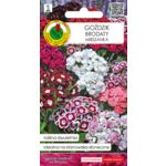 Goździk brodaty mieszany 0,5 g GC 1 PNOS