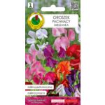 Groszek pachnący mieszany 1 g GC 1 PNOS