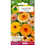 Nagietek 2 g GC 1 PNOS