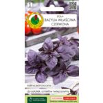 Bazylia właściwa czerwona 0,2 g GC 1 PNOS