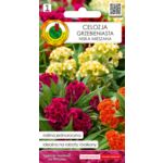 Celozja grzebieniasta niska mieszana 0,2 g GC 1 PNOS