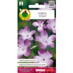 Kąkol polny 1 g GC 1 PNOS