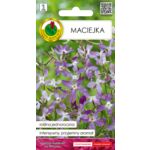 Maciejka 2 g GC 1 PNOS