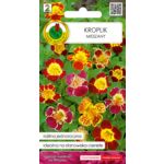 Kroplik mieszany 0,1 g GC 2 PNOS