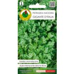 Pietruszka naciowa Gigante d’Italia 2 g GC 1 PNOS