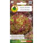 Sałata liściowa Lollo Rossa 0,5 g GC 1 PNOS