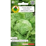 Sałata głowiasta krucha Królowa Lata 0,5 g GC 2 PNOS