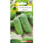 Ogórek gruntowy Hela F1 2 g GC 2 PNOS