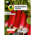 Rzodkiewka Silesia 6 m GC T1 PNOS