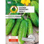 Ogórek gruntowy 'Zefir' F1 6 m GC T2 PNOS