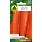 Marchew jadalna dolanka-dolanka Oża 2 g GC 1 PNOS
