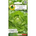 Sałata głowiasta masłowa Edyta ożarowska 0,5 g GC 1 PNOS