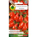 Pomidor gruntowy Radana 0,2 g GC 2 PNOS