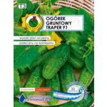 Ogórek gruntowy Traper F1 z hydrożelem 6 m GC T3 PNOS
