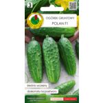Ogórek gruntowy Polan F1 2 g GC 3 PNOS