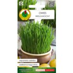Owies wielkanocny 5 g GC 0 PNOS
