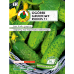 Ogórek gruntowy Rodos F1 z nawozem 6 m GC T3 PNOS