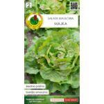 Sałata głowiasta masłowa Majka 0,5 g GC 2 PNOS