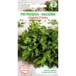 Pietruszka Gigante d'Italia 2 g W. Legutko