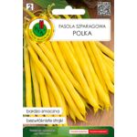 Fasola szparagowa żółta karłowa Polka 20 g GC 2 PNOS