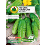 Ogórek gruntowy Reja F1 z nawozem 6 m GC T3 PNOS