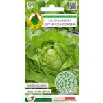 Sałata głowiasta masłowa Edyta ożarowska 100 ziaren OT GC O1 PNOS