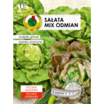 Sałata głowiasta masłowa Jubilatka + Edyta ożarowska 6 m GC T1 PNOS