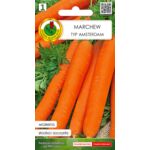 Marchew jadalna Amsterdam 2 2 g GC 1 PNOS